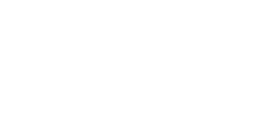 Fondazione LINKS